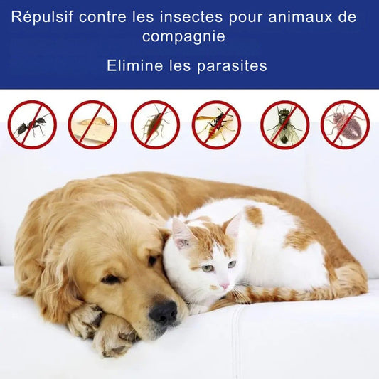 Spray Anti-Puces & Anti-Tiques