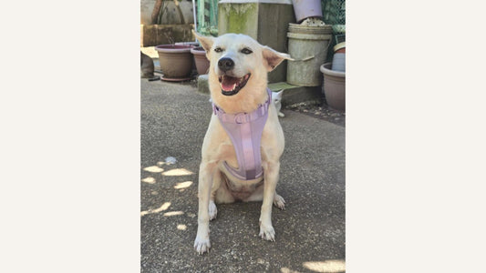 Résolution du Nouvel An : Bouger davantage