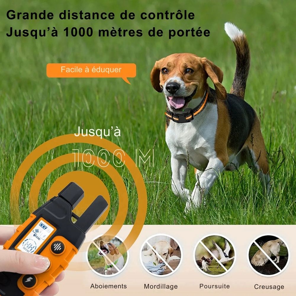 Collier de Dressage Électrique