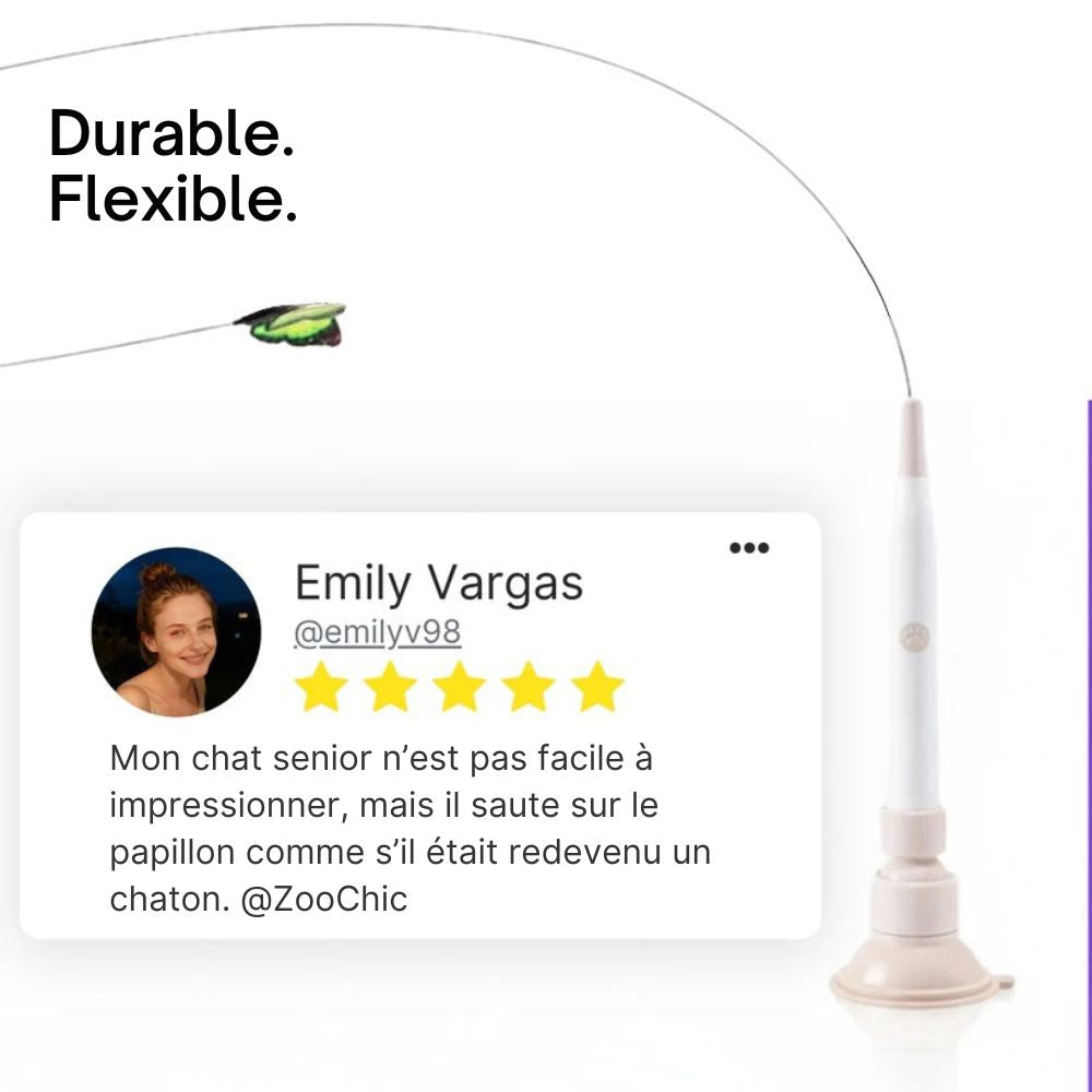 FlutterChase™ by ZooChic – Le jouet papillon 360° préféré des chats