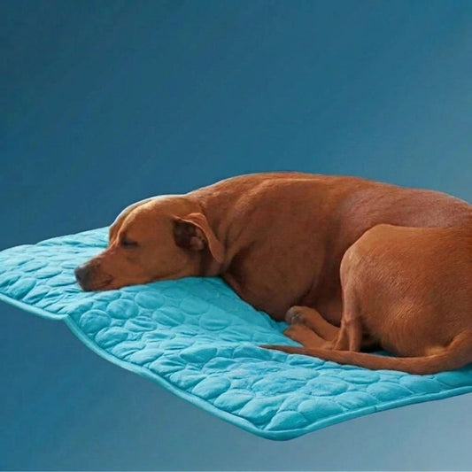 Tapis Rafraîchissant pour Chien en Soie Glacée