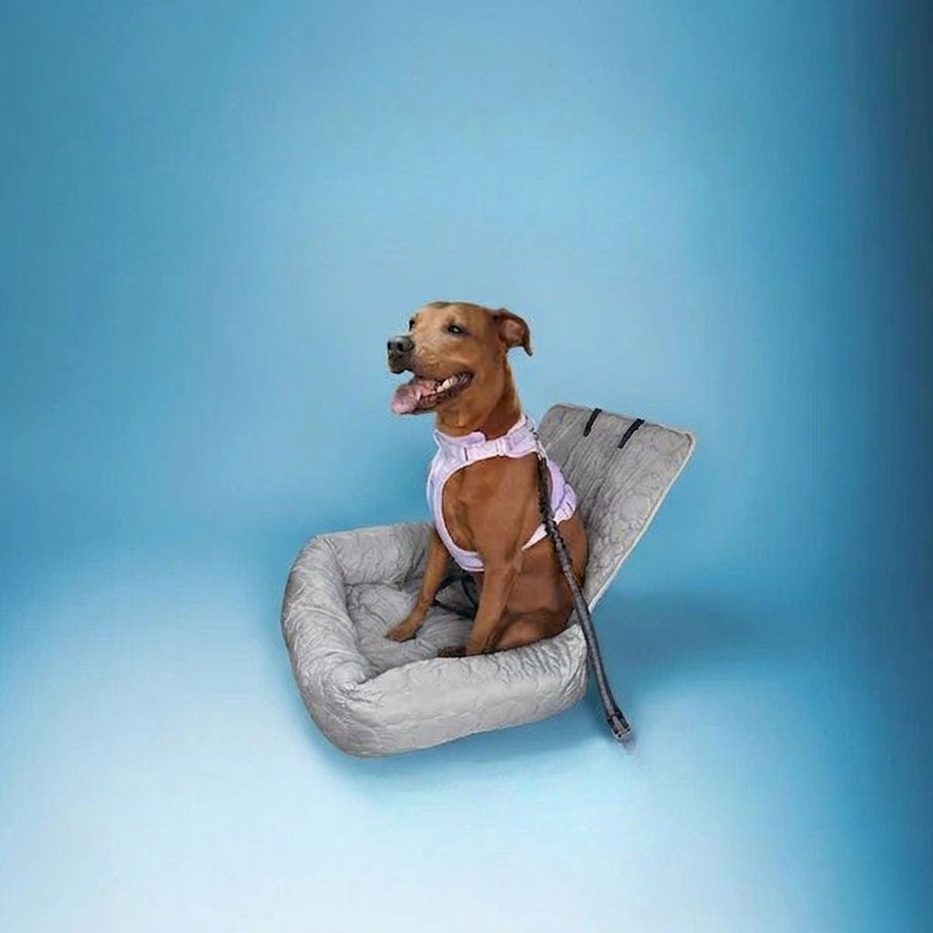 Siège Auto Rafraîchissant pour Chien — Frais & Serein tout l'Été
