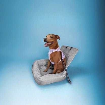 Siège Auto Rafraîchissant pour Chien — Frais & Serein tout l'Été