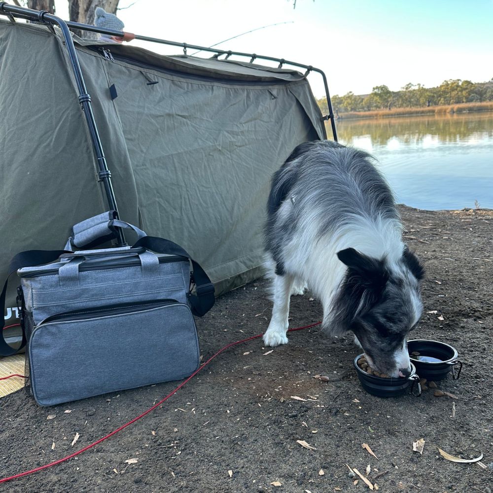 DoggiePack™ – Le tout-en-un du maître organisé