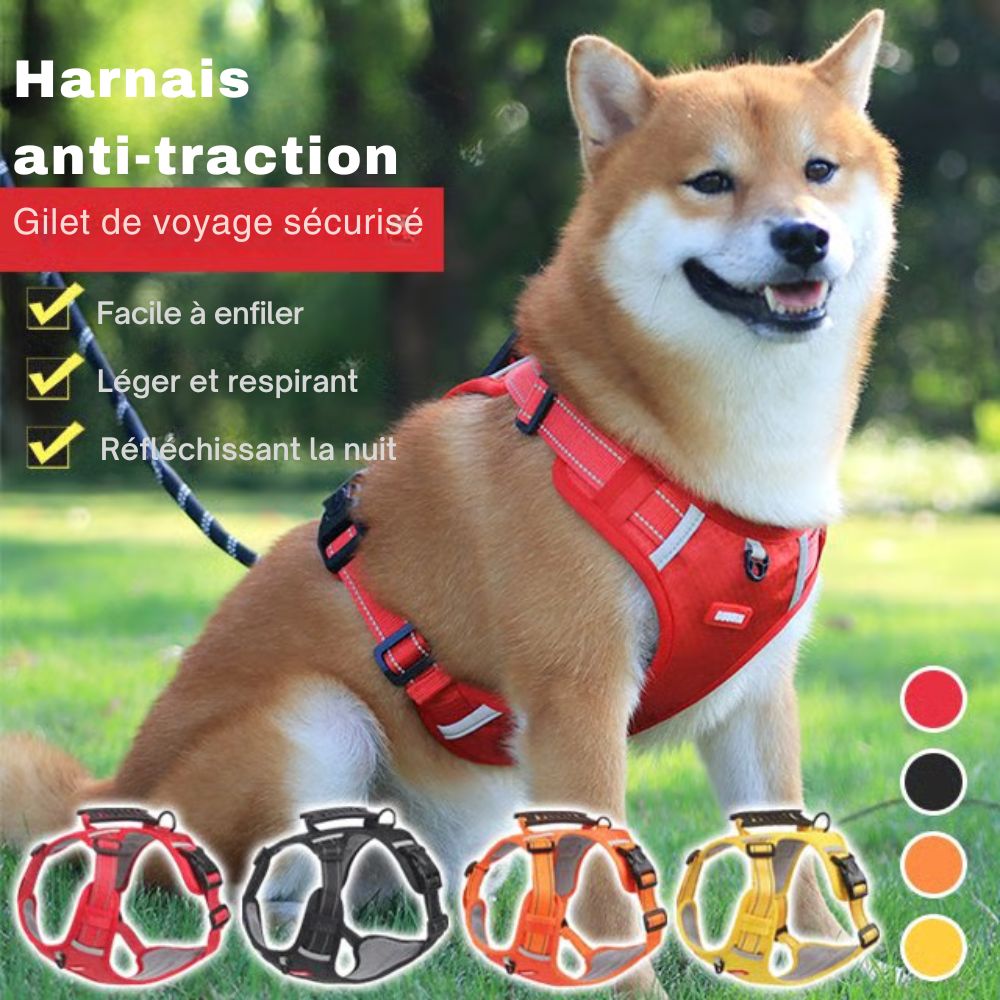 Harnais anti-traction réfléchissant