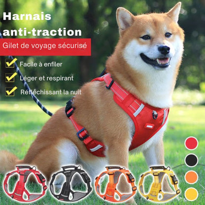 Harnais anti-traction réfléchissant