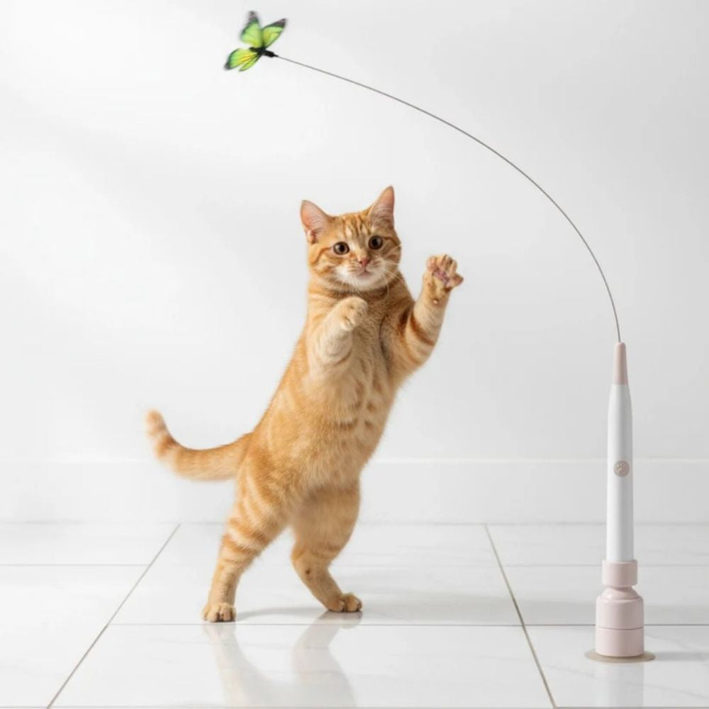 FlutterChase™ by ZooChic – Le jouet papillon 360° préféré des chats