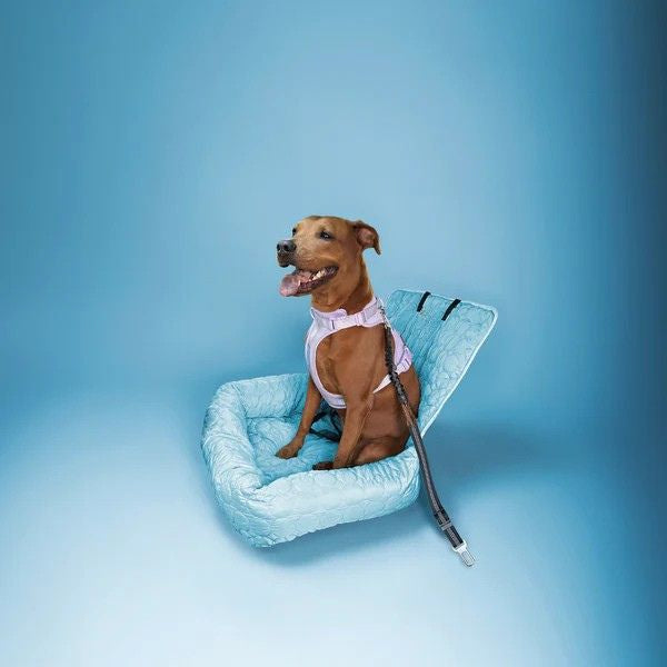 Siège Auto Rafraîchissant pour Chien — Frais & Serein tout l'Été