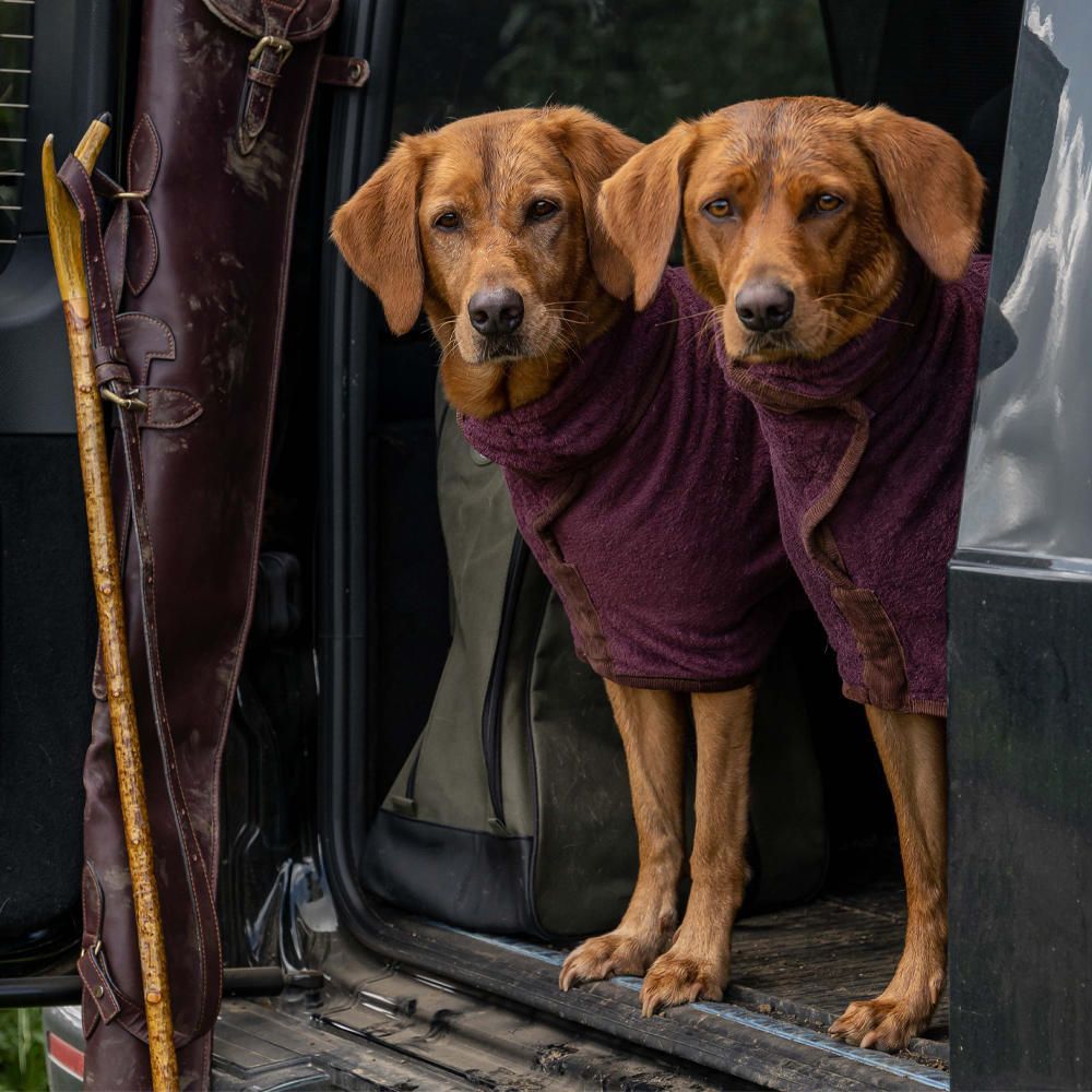 Peignoir de séchage confortable pour animaux – Doux & enveloppant