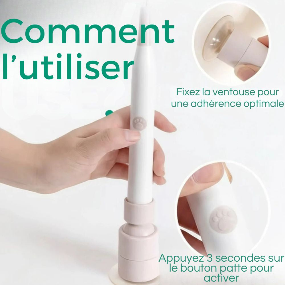 FlutterChase™ by ZooChic – Le jouet papillon 360° préféré des chats