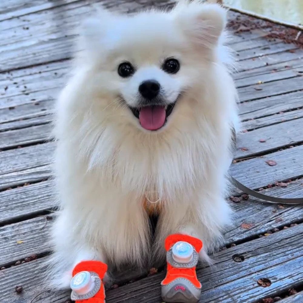 Chaussures d’hiver ajustables et antidérapantes – protection contre le froid