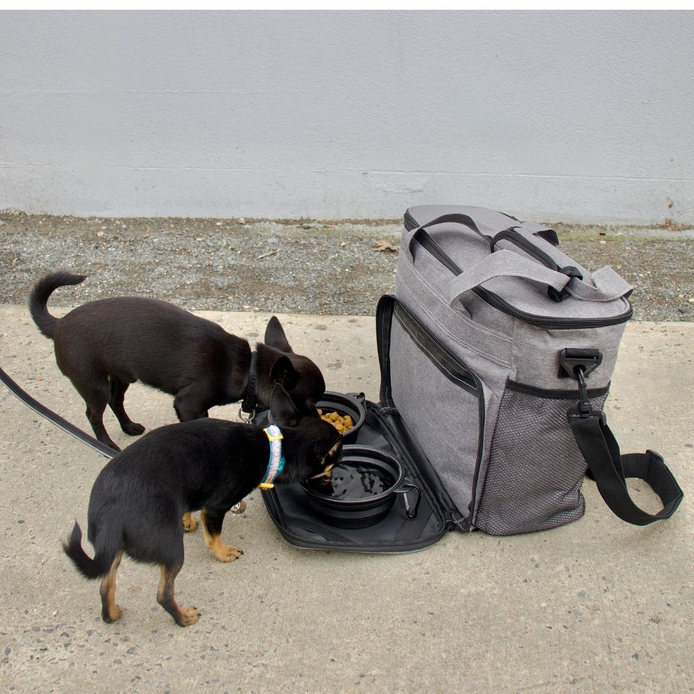 DoggiePack™ – Le tout-en-un du maître organisé