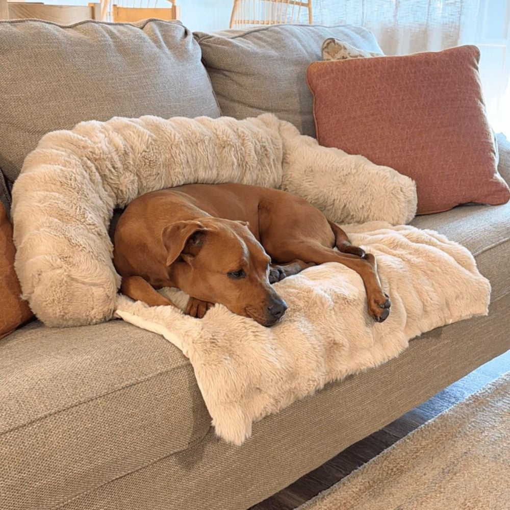 Canapé-Lit Cocooning Ultra Doux – Le Nid de Confort Préféré de Tous les compagnons