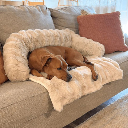 Canapé-Lit Cocooning Ultra Doux – Le Nid de Confort Préféré de Tous les compagnons