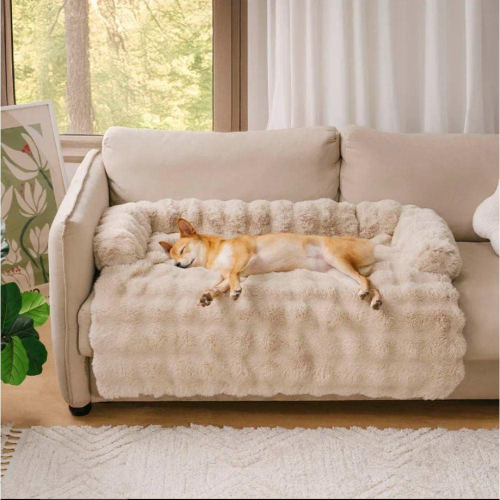 Canapé-Lit Cocooning Ultra Doux – Le Nid de Confort Préféré de Tous les compagnons