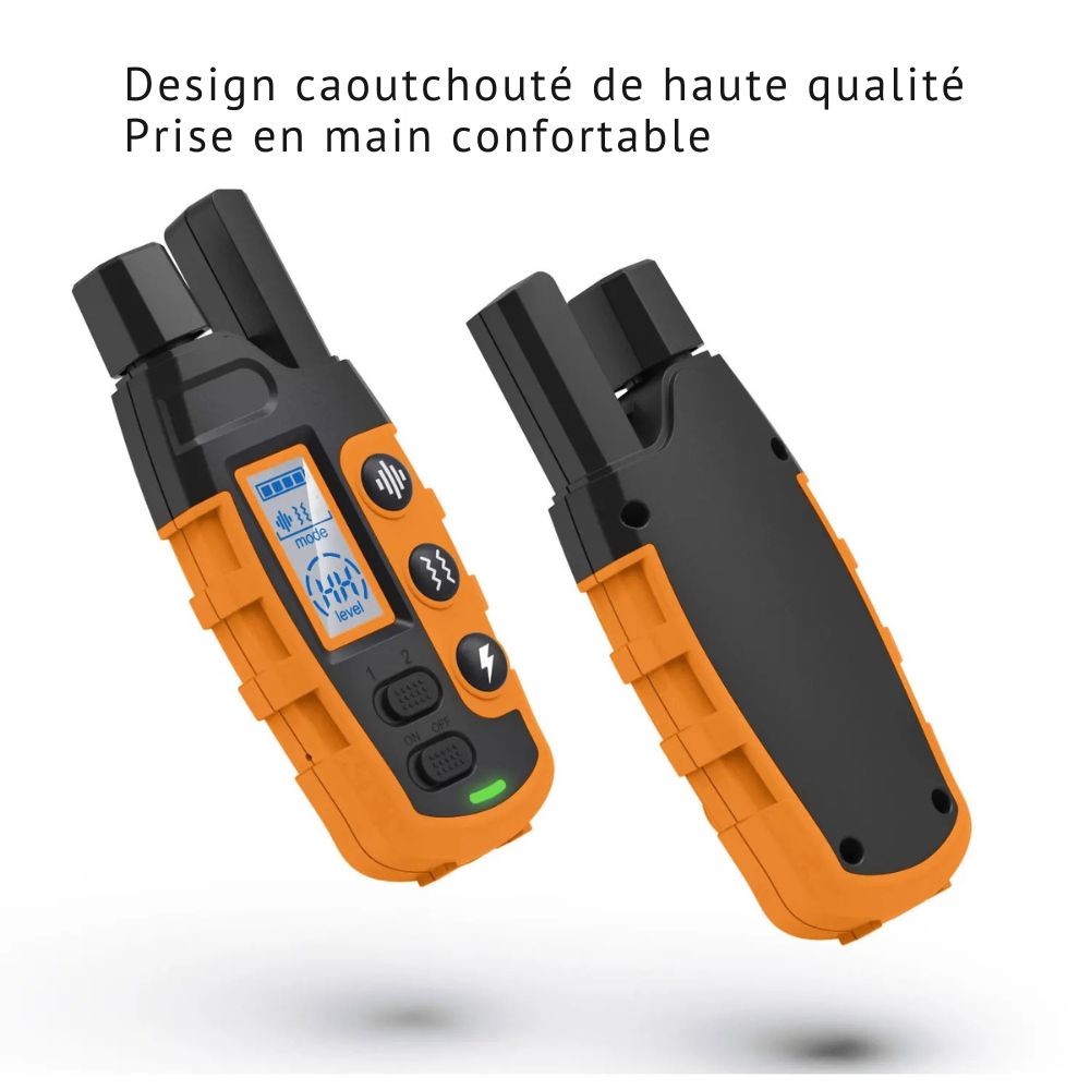 Collier de Dressage Électrique