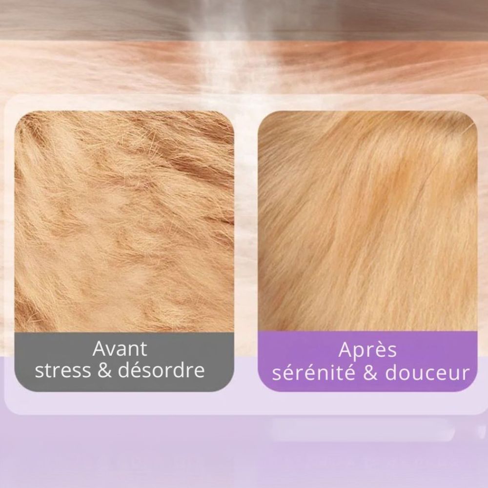 Purple Steamy Brush™ – Le bain sans bain