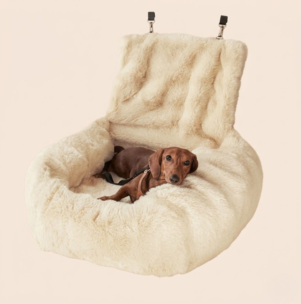 Siège Auto Cocoon – Confort & Sécurité