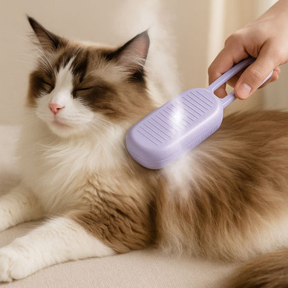 Purple Steamy Brush™ – Le bain sans bain