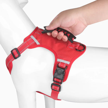 Harnais anti-traction réfléchissant